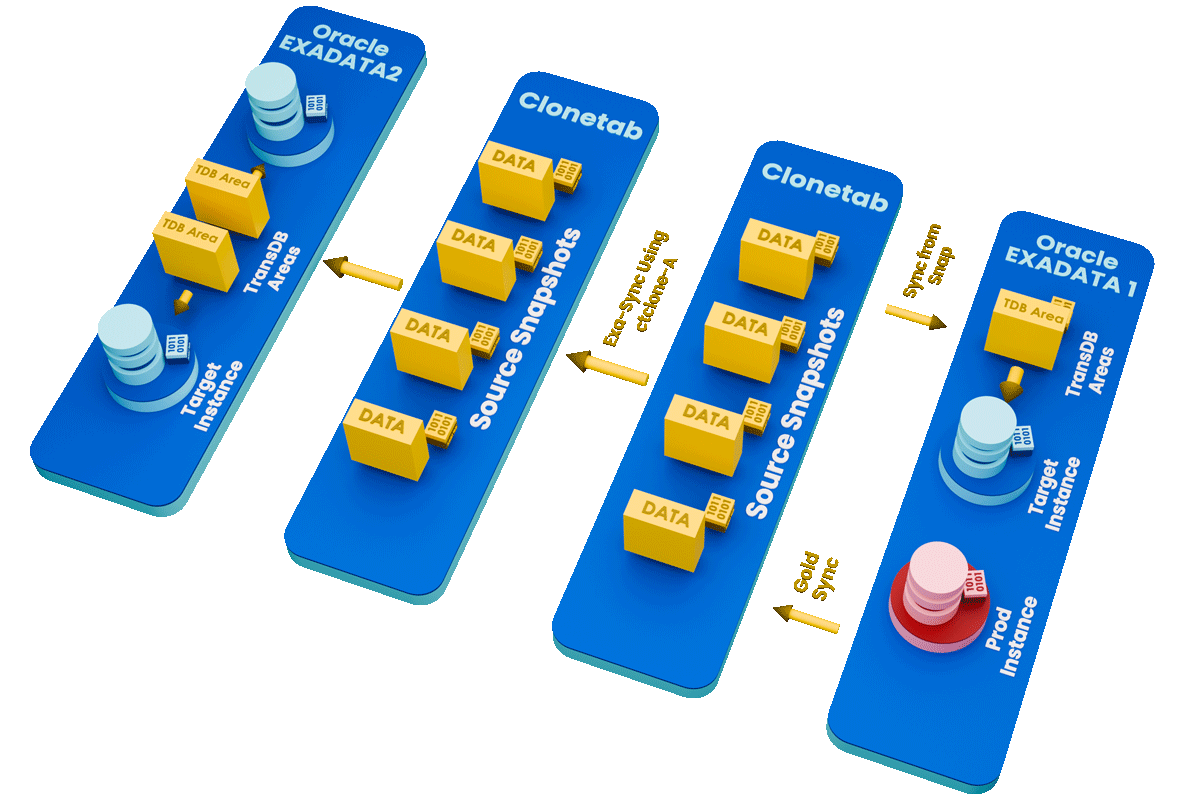 CT-TransDB Exadata Cloning